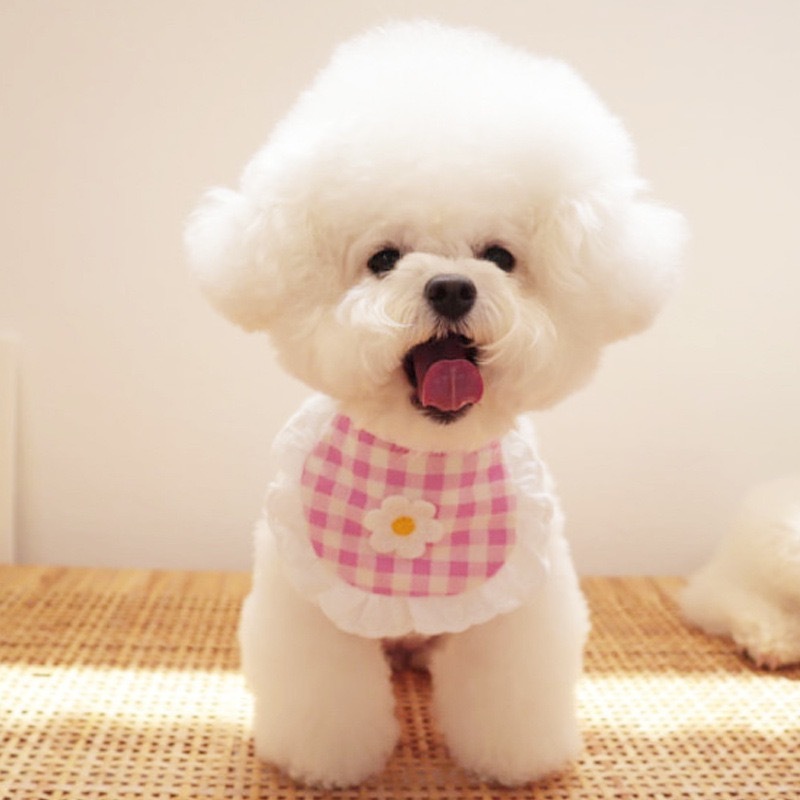Cute Puppy Dog Plaid Flower Bib - Image 4