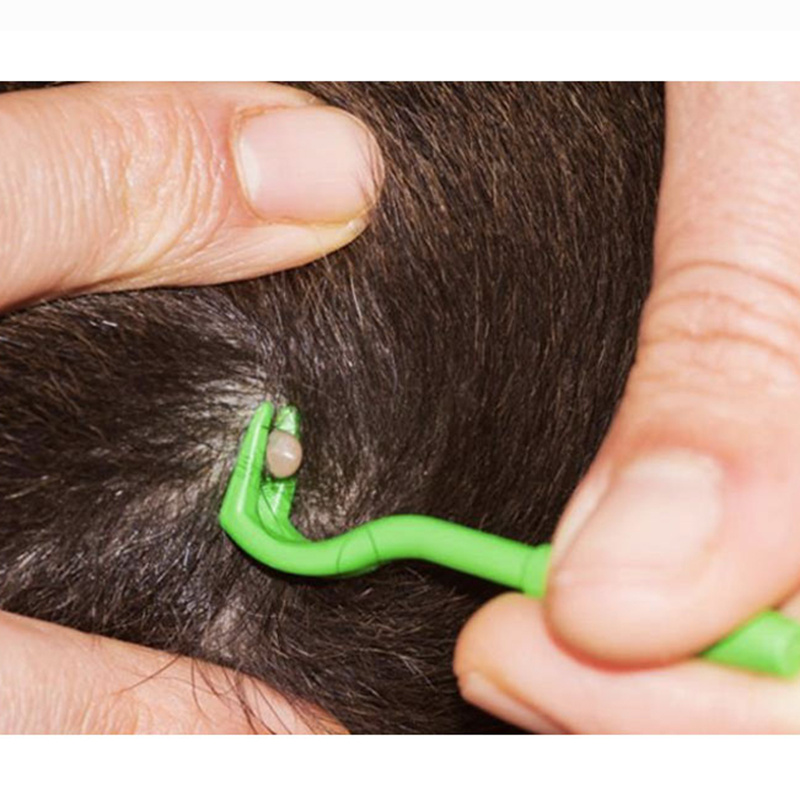 3pcs Dog Tick Pet Flea Removal Hook - Image 8