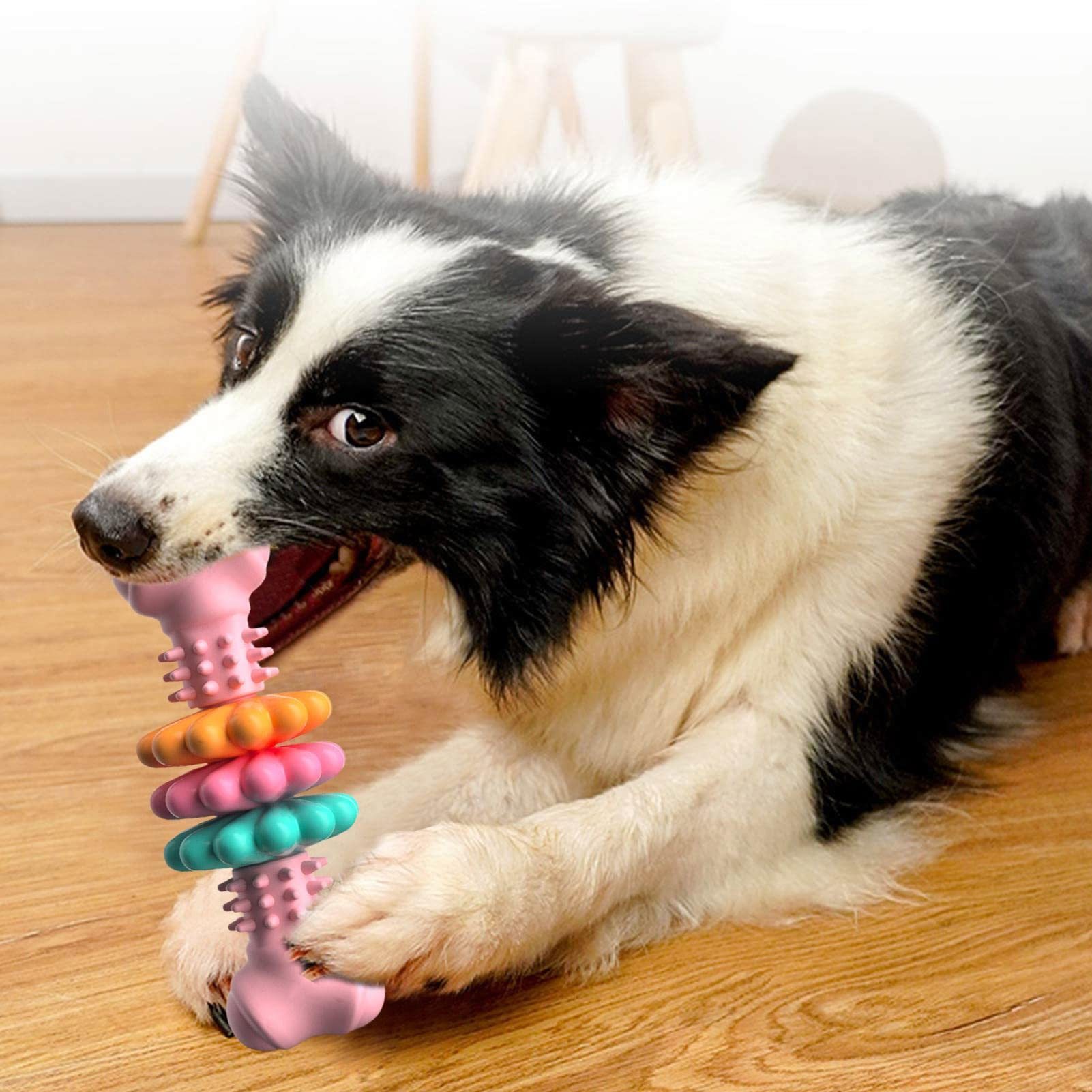 Indestructible TPR Bone Chewing Dog Toy - Image 4