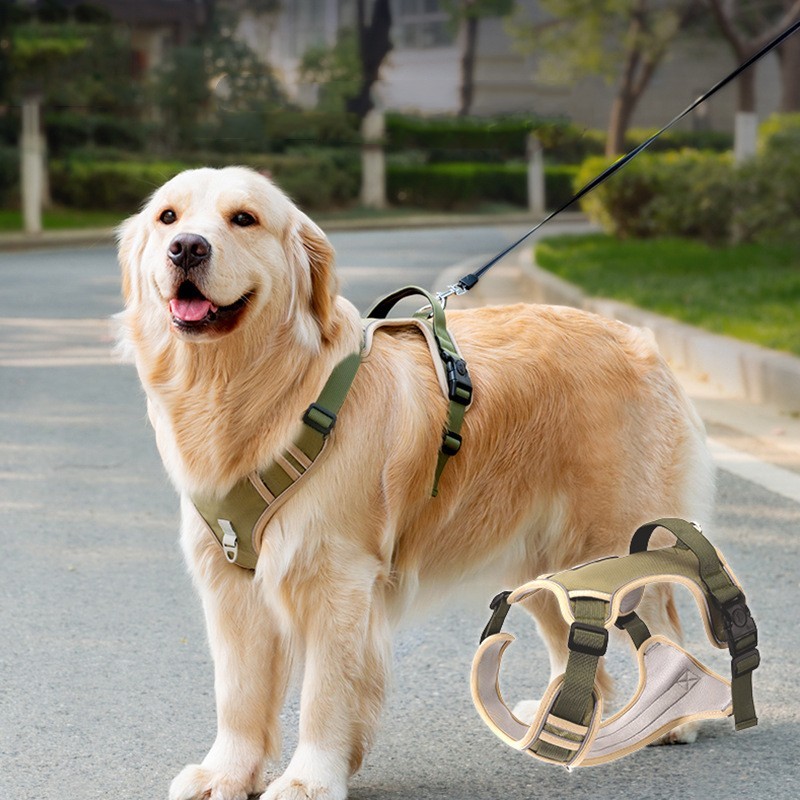 Pet Hand Holding Harness Rope