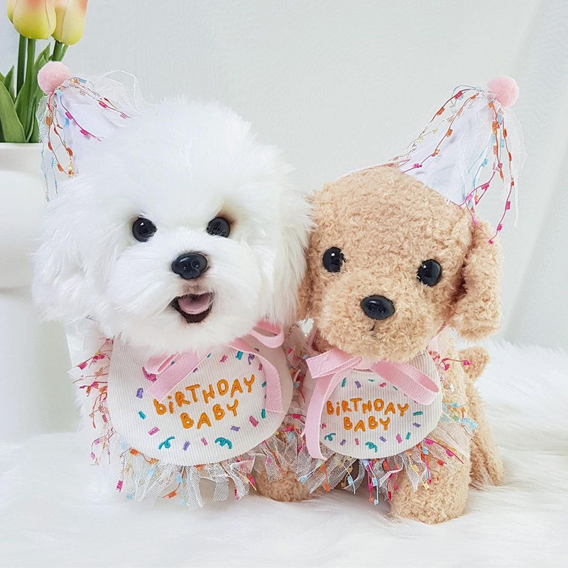 Bichon Triangle Dog Birthday Bib Towel