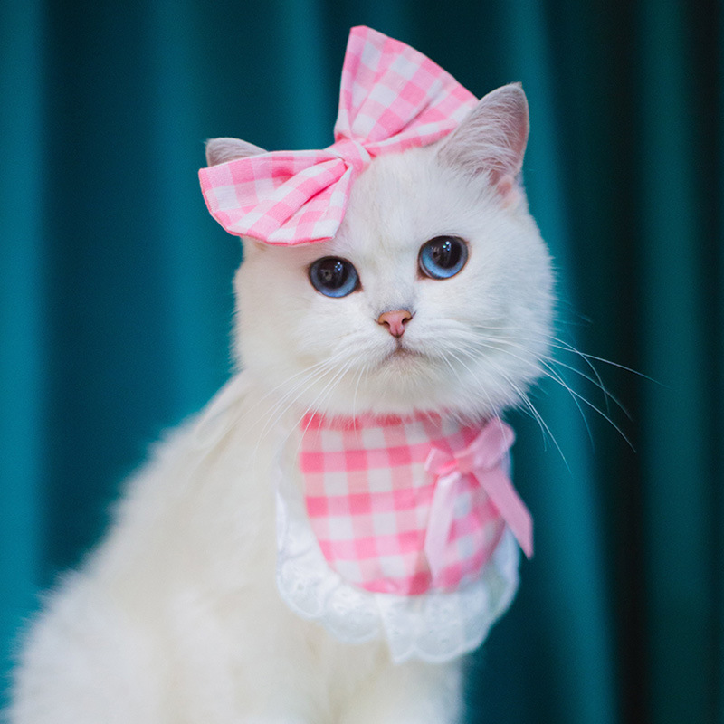Princess Saliva Scarf Cat Lace Suit - Image 9