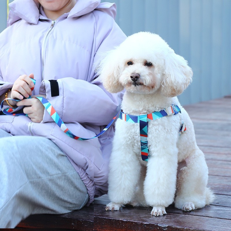 Pet Dog Vest Printing Haulage Rope