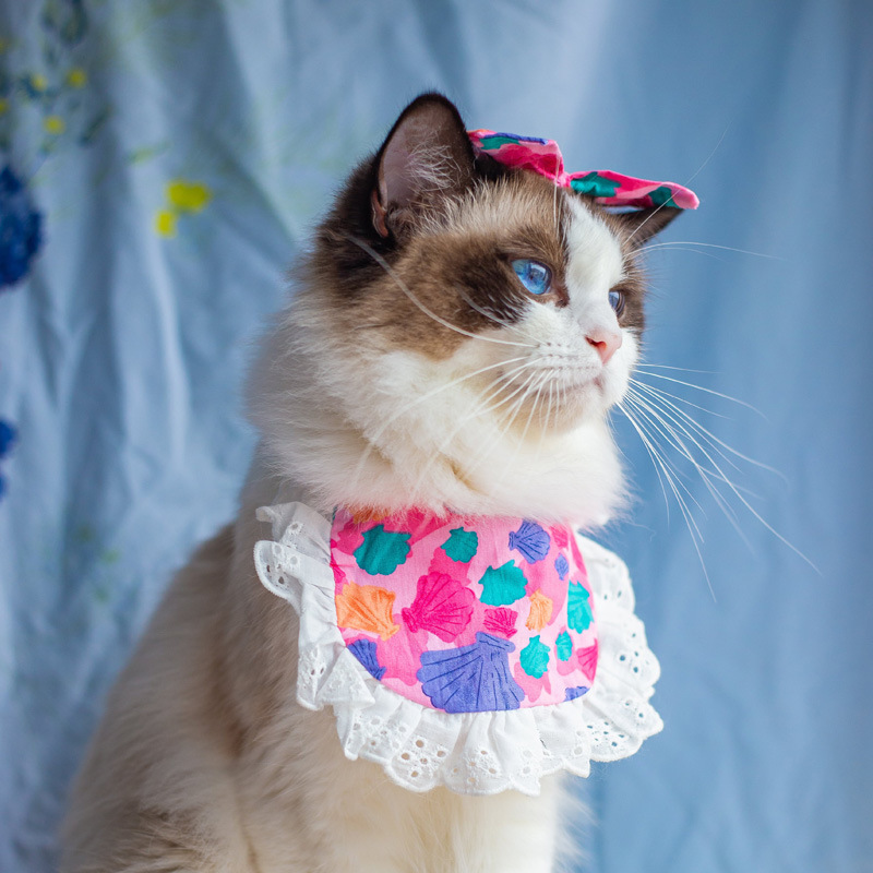 Princess Saliva Scarf Cat Lace Suit - Image 5