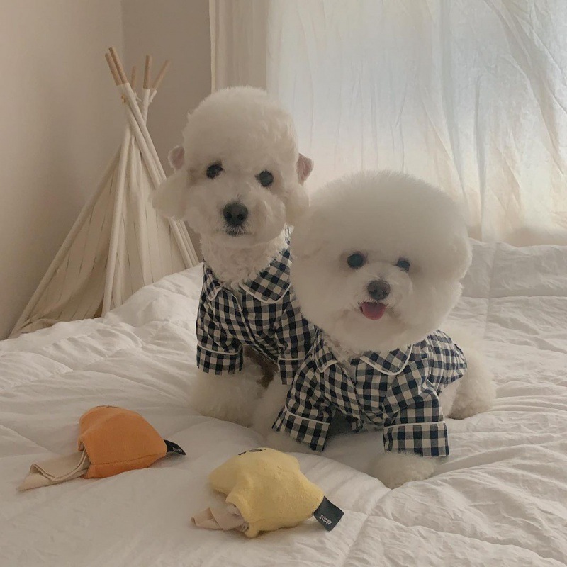 Plaid Khaki Blue Pocket Pajamas For Dogs - Image 4