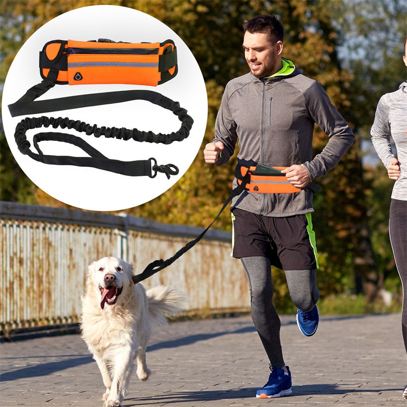 Hands Free Pet Purse Leash For Dog Walking