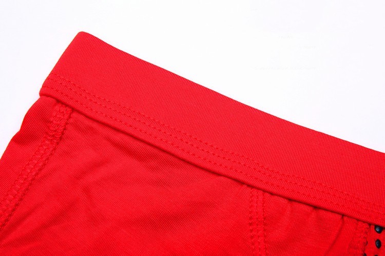 Front Embellished Boxer Shorts for Men - Image 4