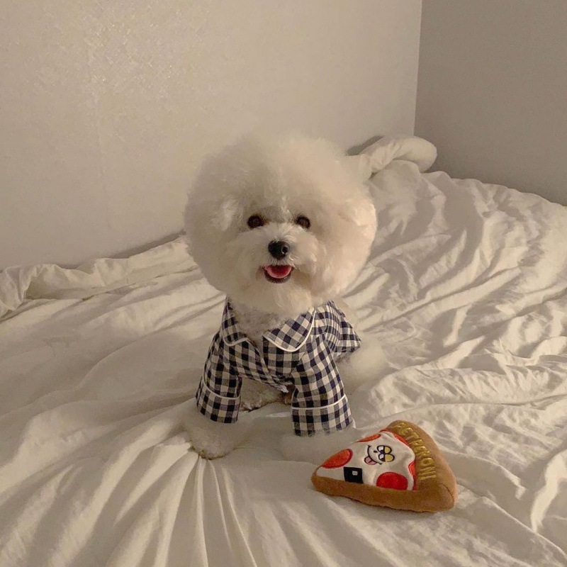 Plaid Khaki Blue Pocket Pajamas For Dogs - Image 6