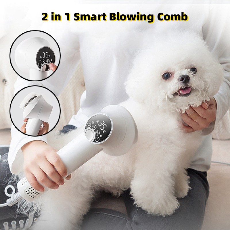 Smart Golden Retriever Pet Hair Dryer Set