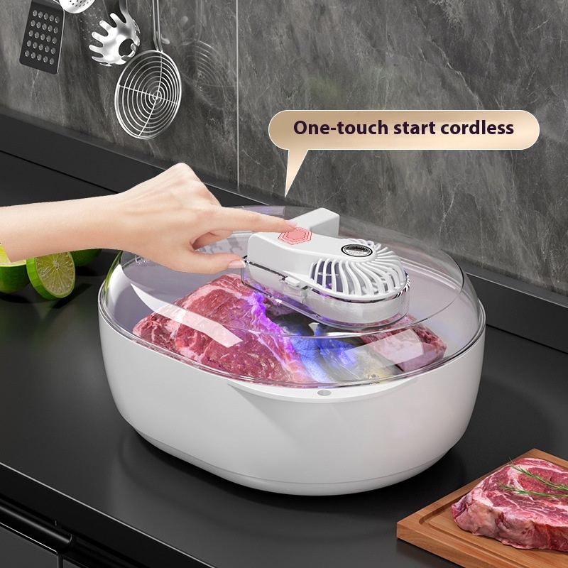 Household Quick Defrosting Plate Device