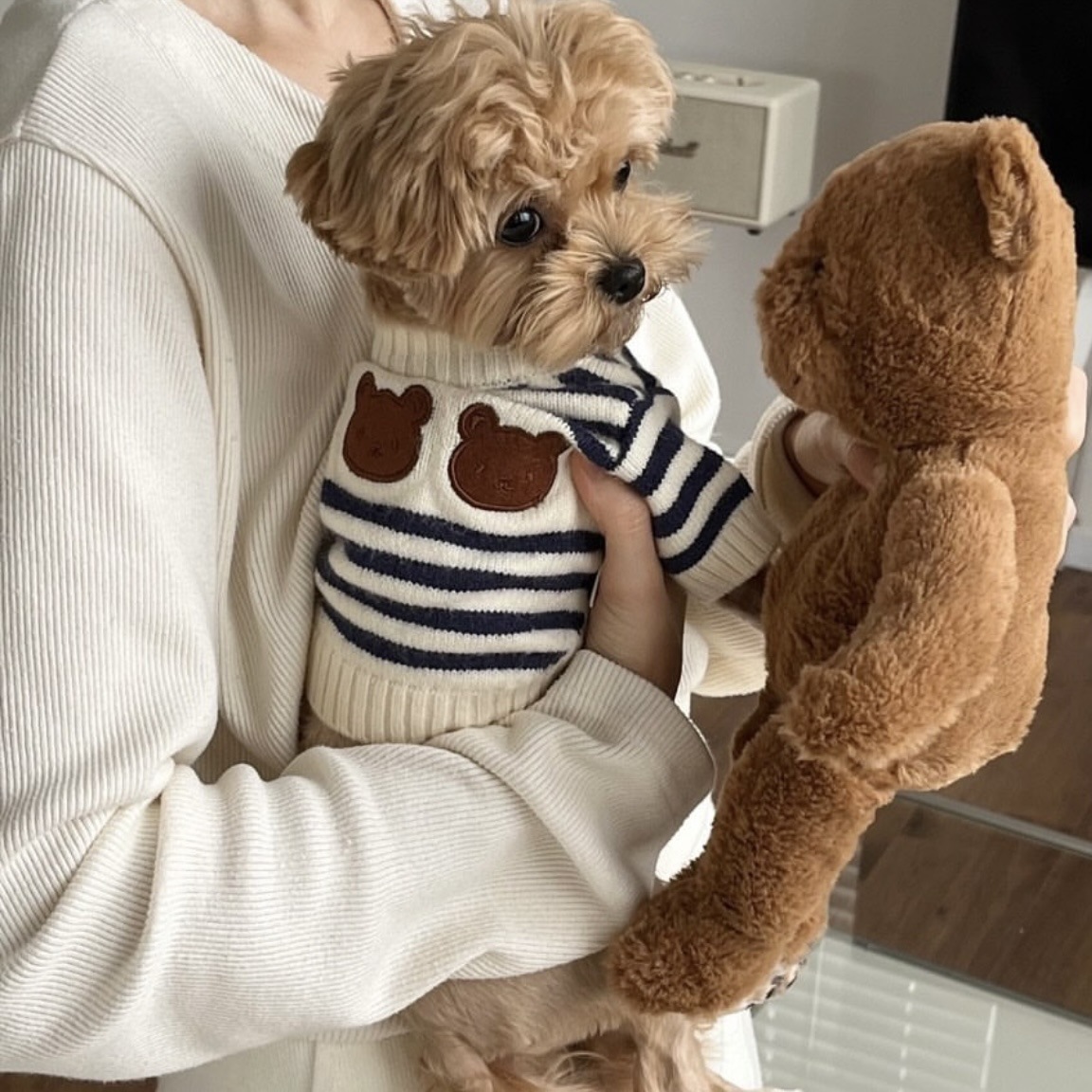 Ins Korean Pet Knitted Warm Sweater