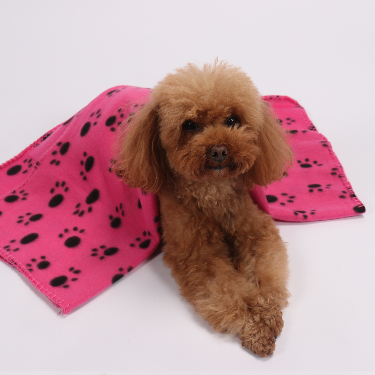 Double-Sided Fleece Warm Pet Blanket - Image 4