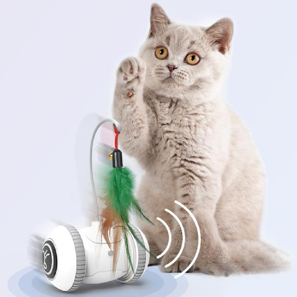 Interchangeable Interactive Cat Feather Toy With Head
