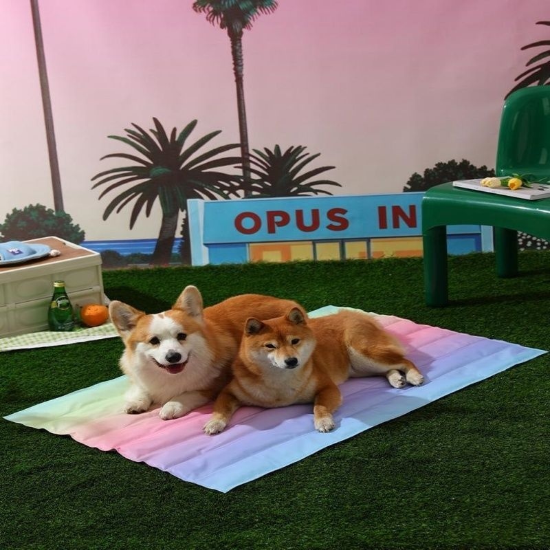Summer Pet Ice Dog Mat For Sleeping