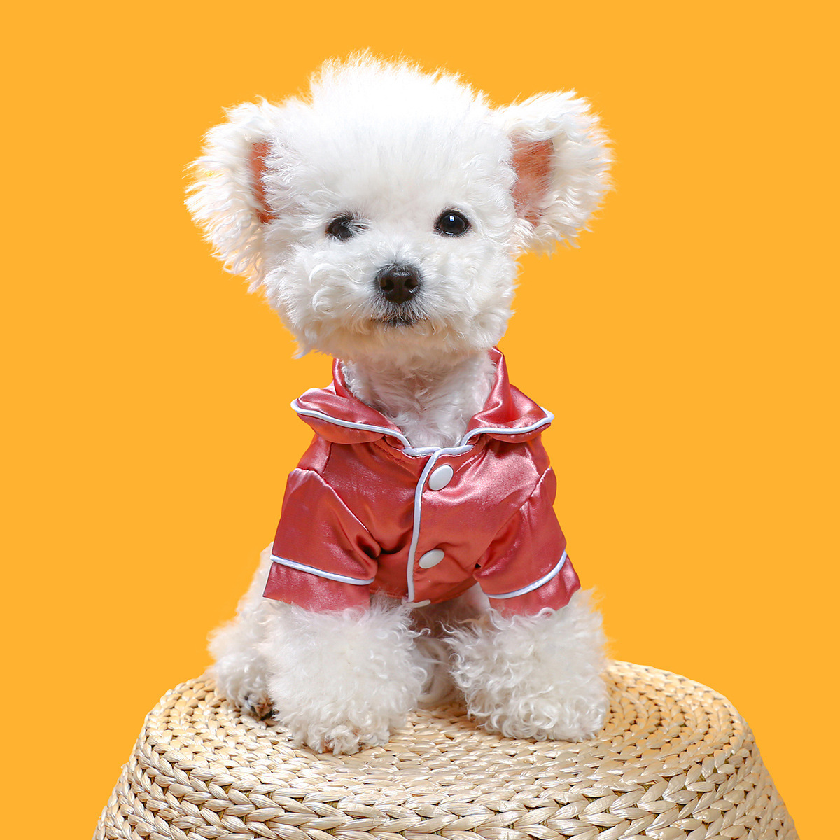 Comfortable Silk Pet Clothing Pajamas - Image 4