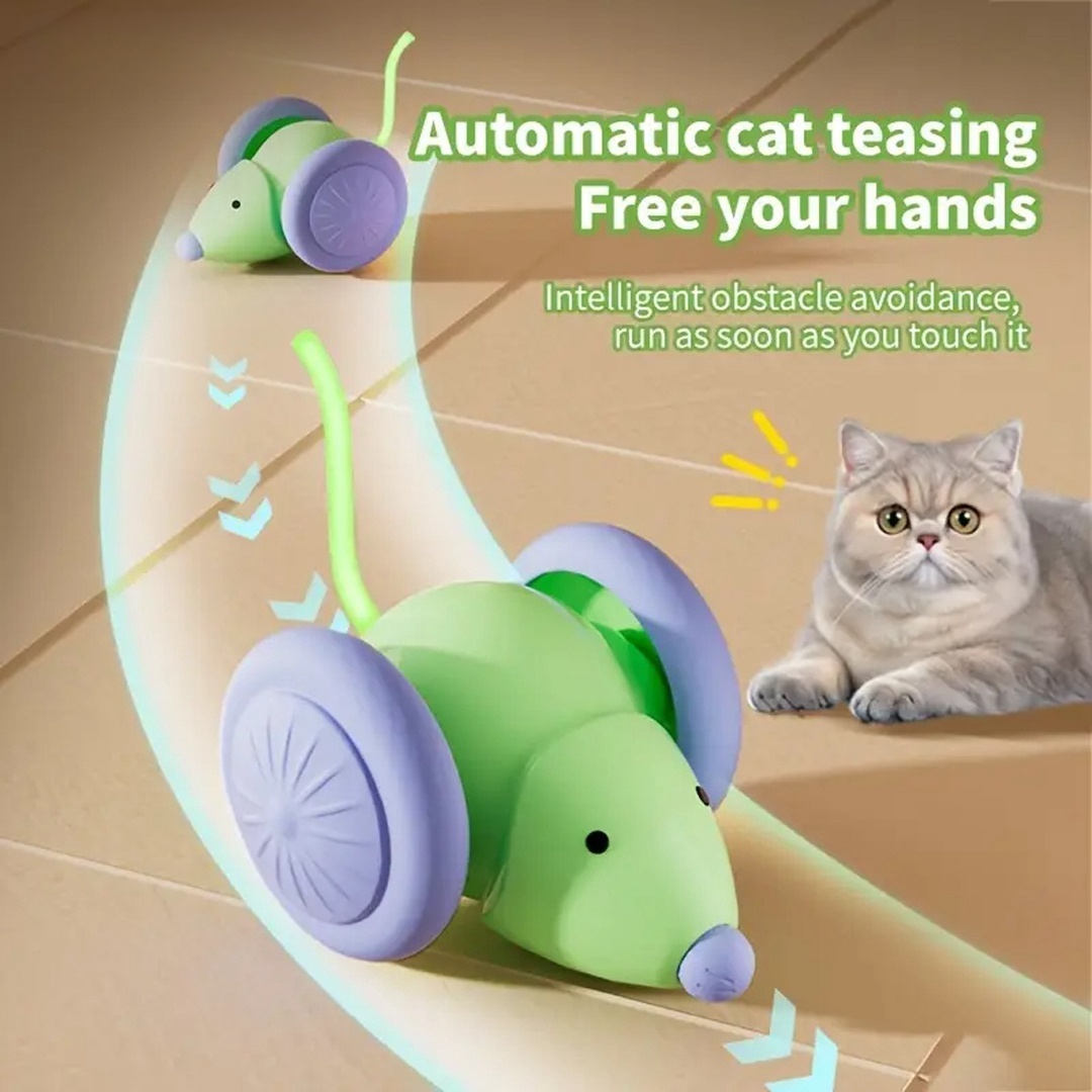 Interactive Electric Mouse Car Pet Toy